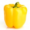 Favolar yellow