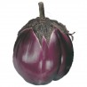 Violetta Firenze
