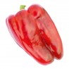 Linares Rosso