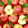 Apple Me