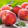 Peach Me Red