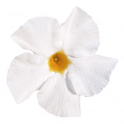 GPman WHITE DARK LEAF