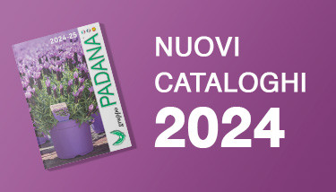 Nuovi cataloghi 2024