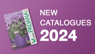 New catalogues 2024